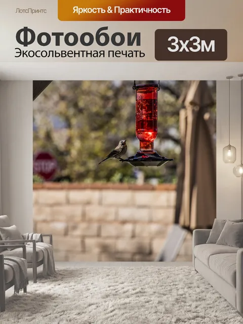 Фотообои Дом Финч на Фидере