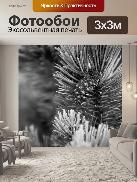 Фотообои Сосновые шишки на ветке