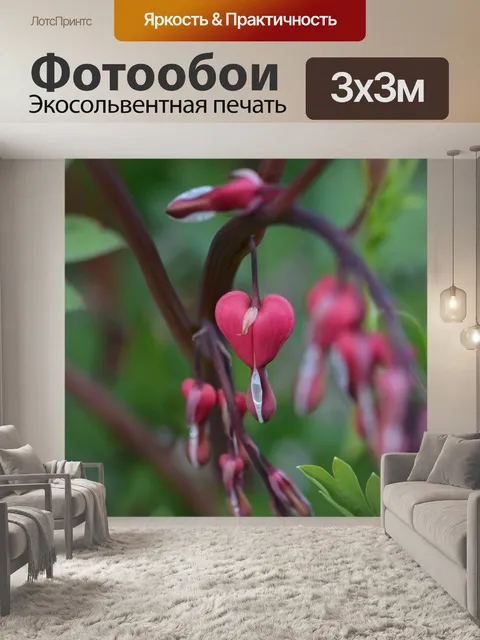 Фотообои Водянистые сердце