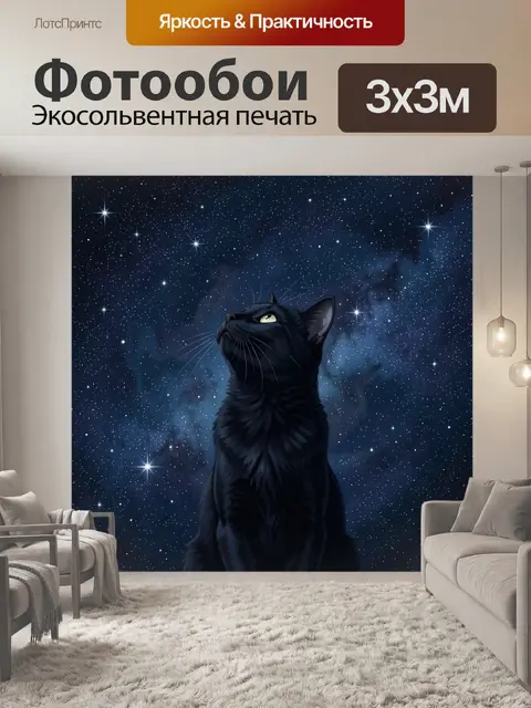 Фотообои Чёрный кот под звёздным небом