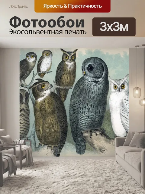 Фотообои Винтажные иллюстрации искусства совы