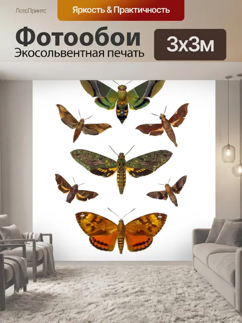 Фотообои Бабочки Мотылек клипарт