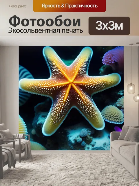 Фотообои кораллы, покрытые морскими звездами и улитками