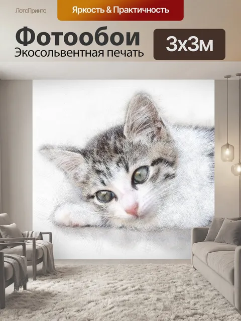 Фотообои Котик