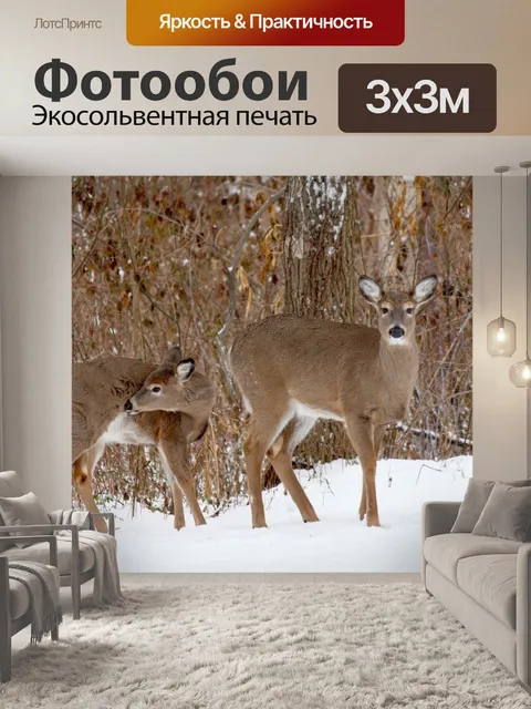 Фотообои Олень мать и олененка