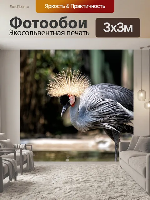 Фотообои Венценосный журавль