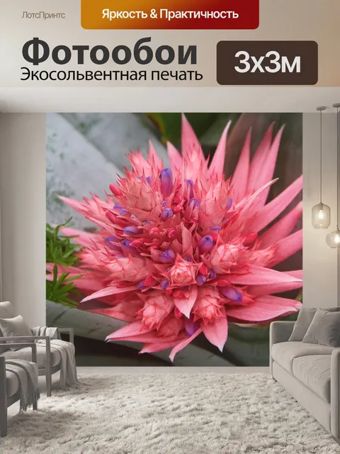 Фотообои Бромелию