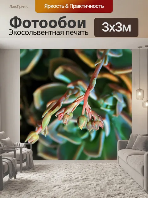 Фотообои бутоны сочной розы
