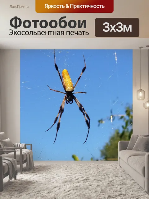 Фотообои Банановый паук