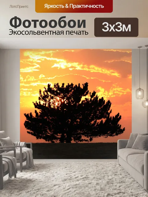 Фотообои Закат и сосновое дерево