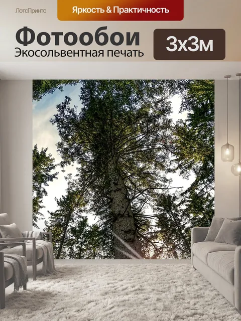 Фотообои Лес