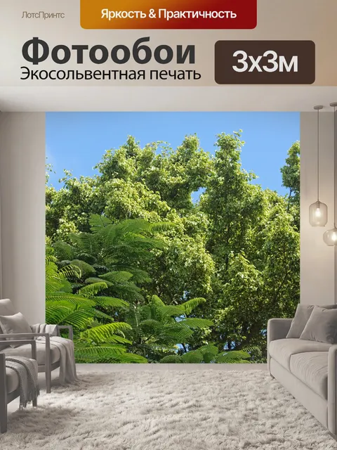 Фотообои изменение листвой и голубое небо