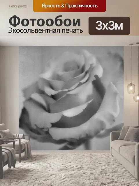 Фотообои Роза