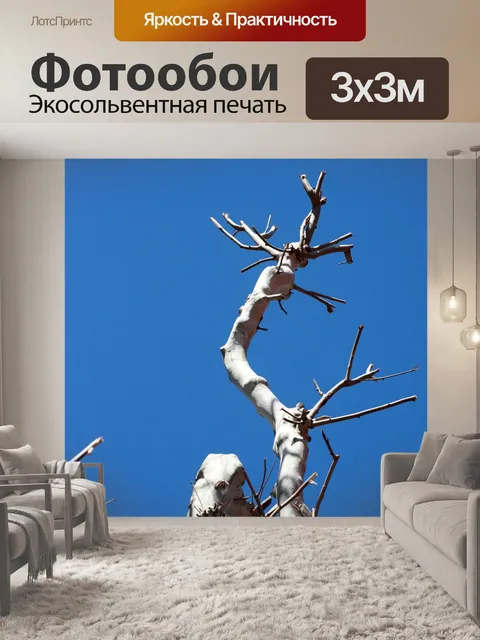 Фотообои Небо