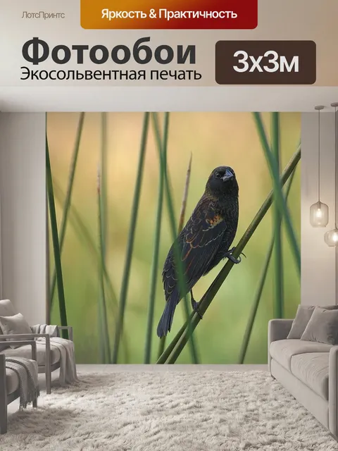 Фотообои Птица