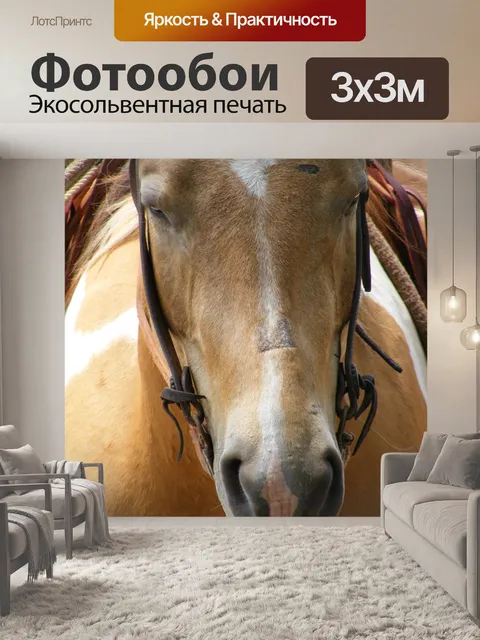 Фотообои Ранчо Лошадь 4