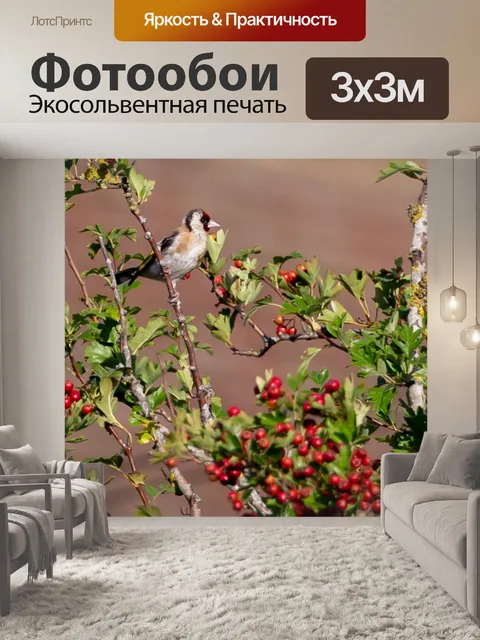 Фотообои Щегол