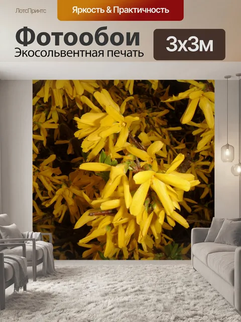 Фотообои форзиция