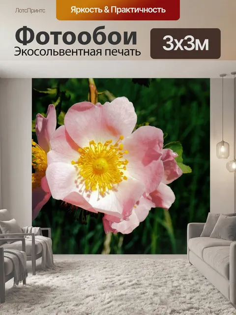 Фотообои Шиповник