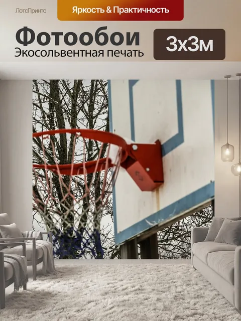 Фотообои Баскетбол