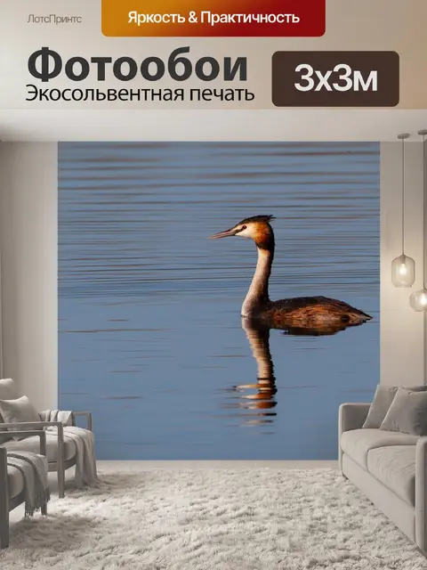 Фотообои Большая поганка