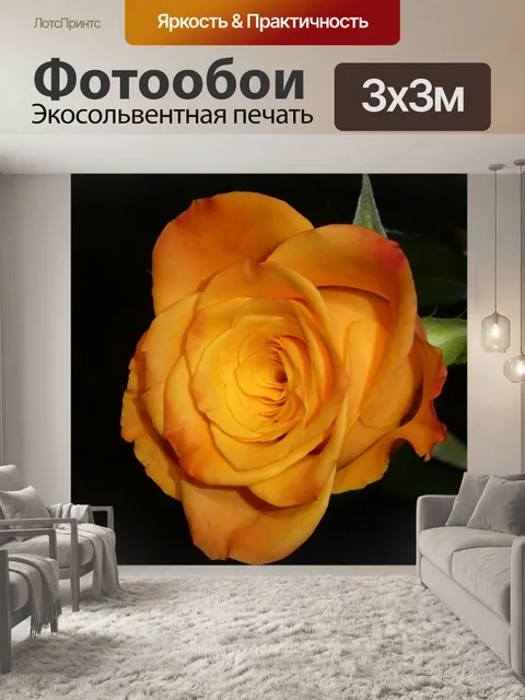 Фотообои Роза