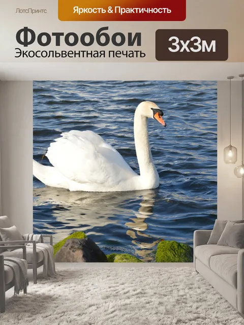 Фотообои Лебедь