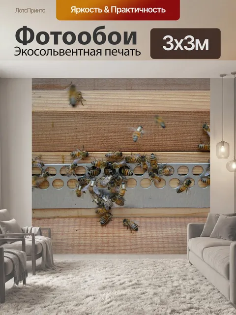 Фотообои Пчелы