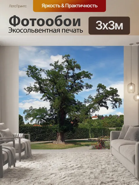 Фотообои Германия