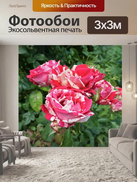 Фотообои Красивые