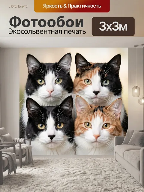 Фотообои Четыре кота в ряд