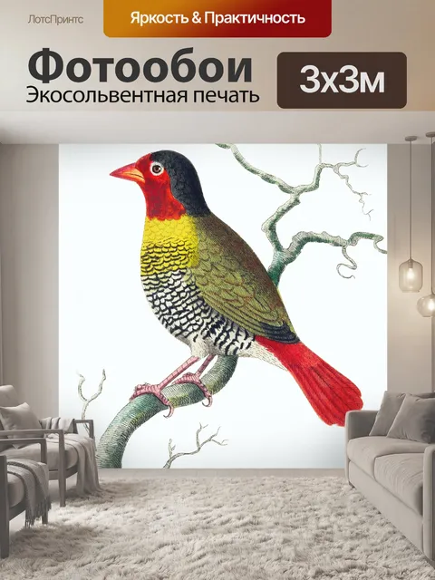 Фотообои Птица тропических старинных искусства