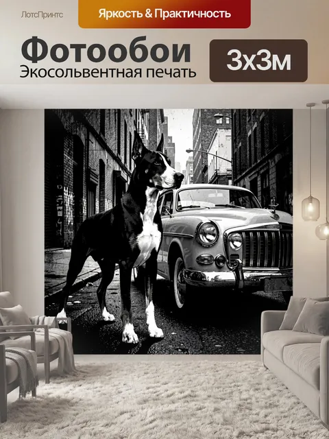Фотообои Доберман у ретроавтомобиля в городе