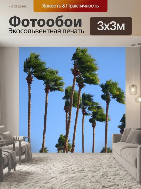 Фотообои Пальмы