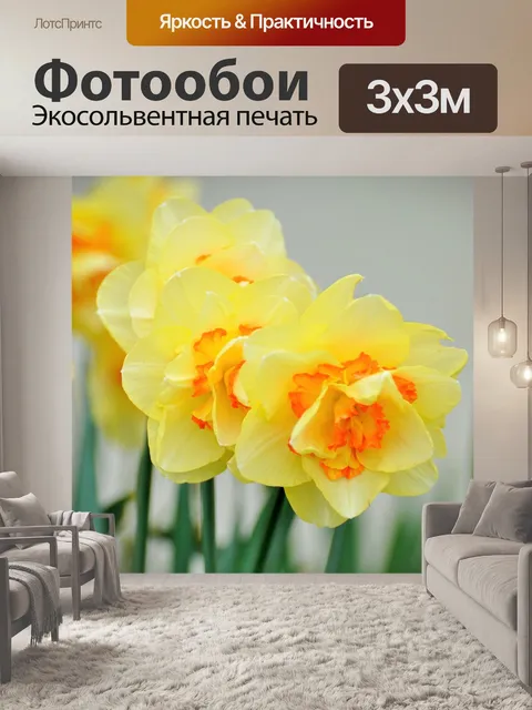 Фотообои Желтые цветы