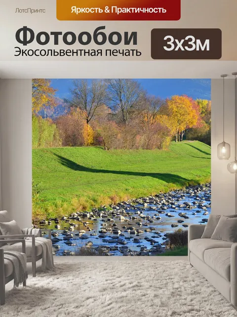 Фотообои Черный лес