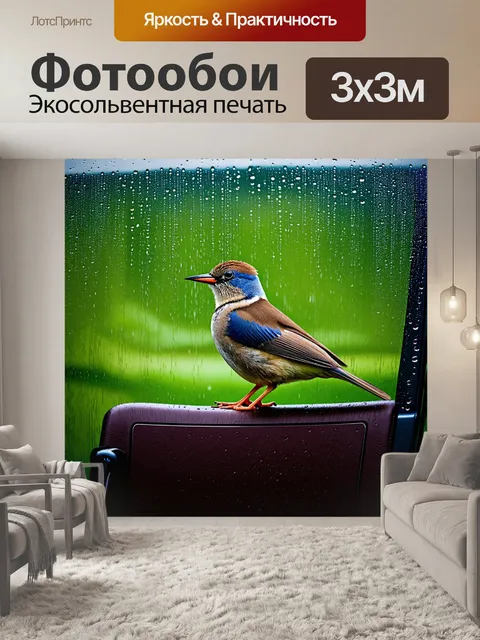 Фотообои птичка, сидящая на спинке садового стула во время утреннего дождя, с каплями воды, стекающими по ее перьям