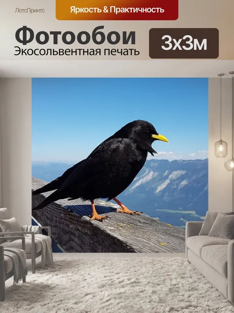 Фотообои Горная галка