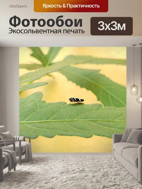 Фотообои Насекомое