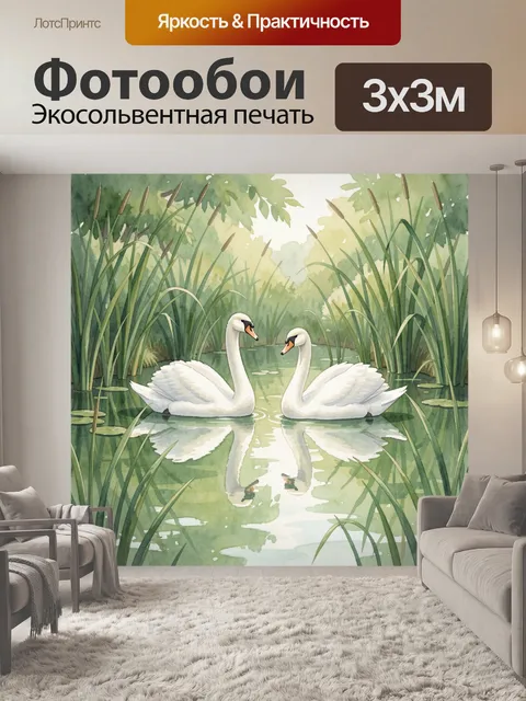 Фотообои Пара белых лебедей в пруду