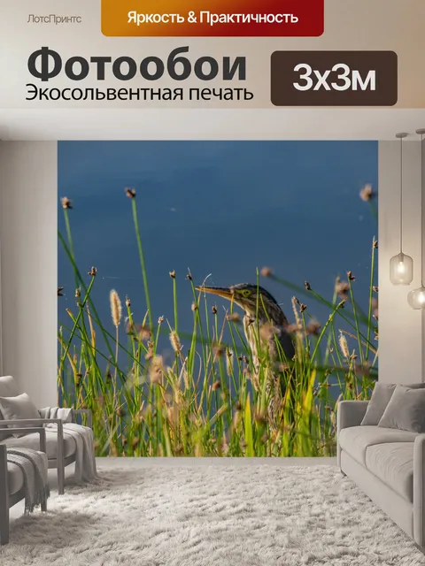 Фотообои Юбилейная зеленая цапля