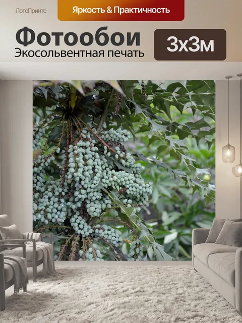Фотообои Семейство барбарисовых