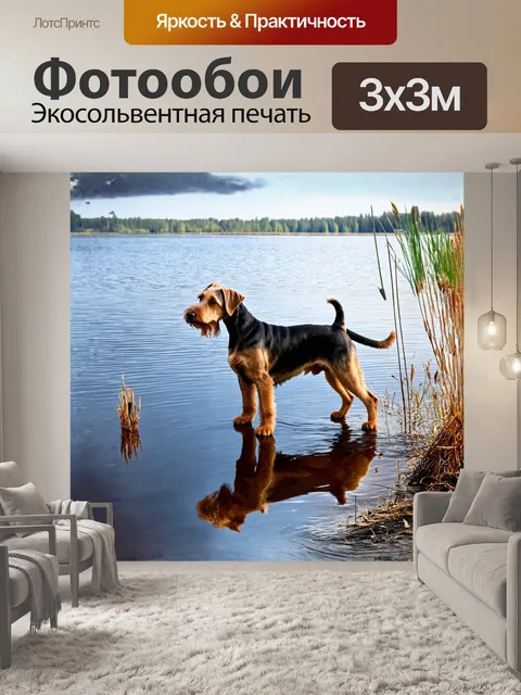 Фотообои эрдельтерьер стоит на берегу озера, с любопытством смотря на отражение своей игрушки в воде