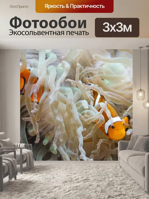 Фотообои клоунов