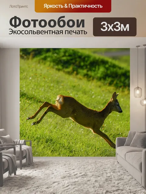 Фотообои Косуля