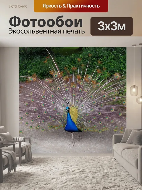 Фотообои Птица