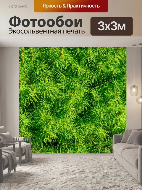 Фотообои Зеленая ель фон