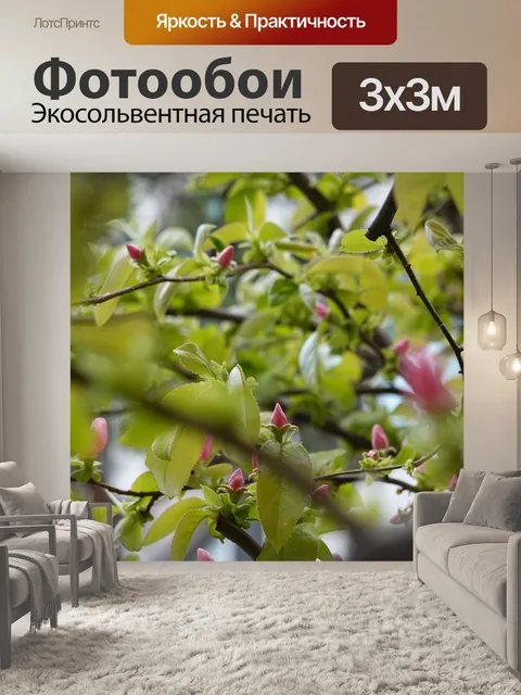 Фотообои Цветок