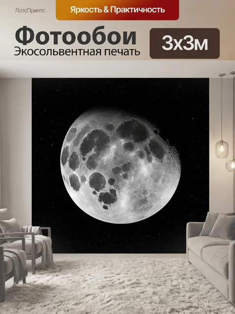 Фотообои космос в стиле черно-белый с великолепным видом на светлую сторону луны, выделяющуюся среди темноты космоса