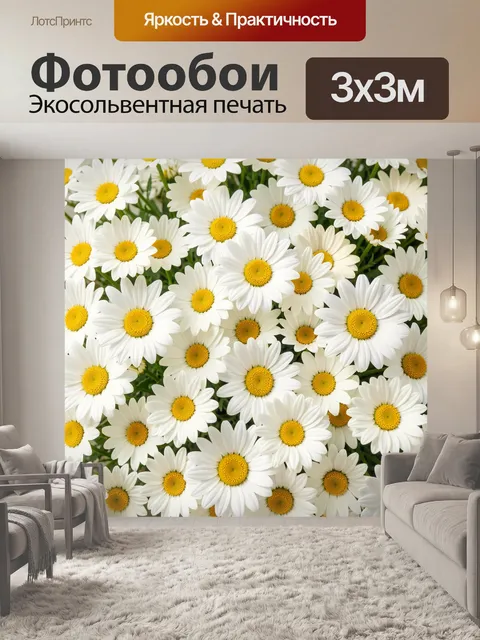 Фотообои Белые ромашки крупным планом